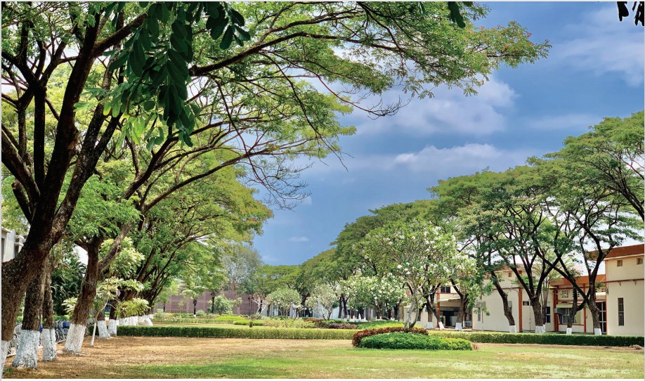 可持續發展報告