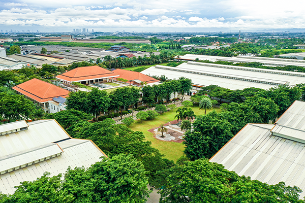 Our Socio - Economic impact